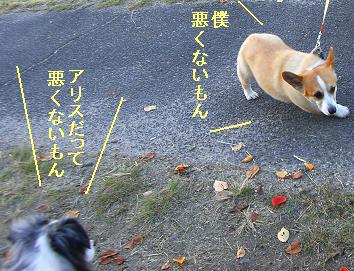 ケンカ両成敗