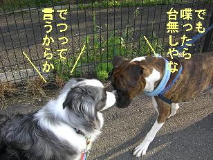 でつは無いやろ....
