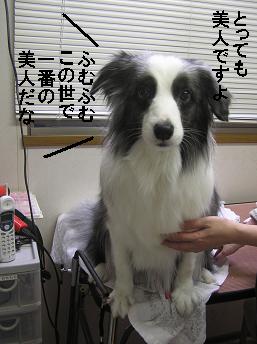 美人