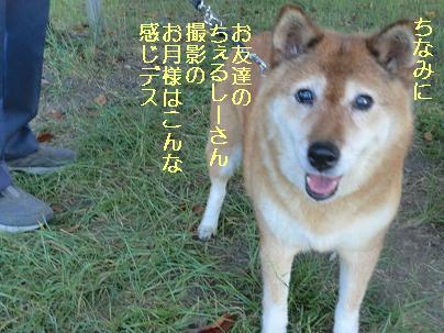 ちぇるしー様撮影