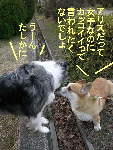 たしかに
