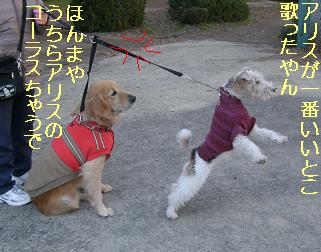 なんでやねん