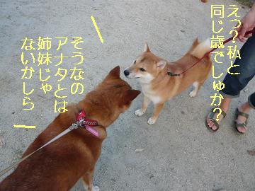 全然違う