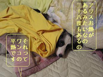 お熱が