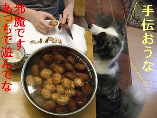 栗むき