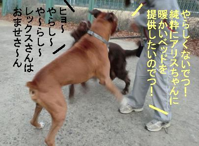 やらしくないでつ