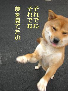 でも