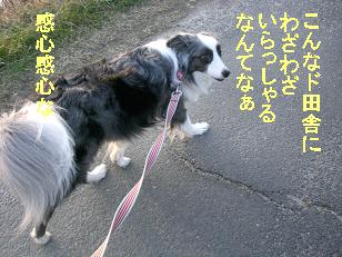 ご奇特なことだな