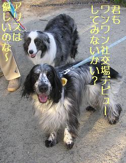 君も仲間だ