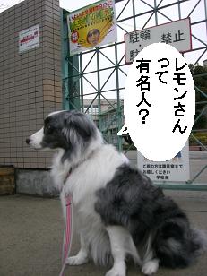 有名人？？