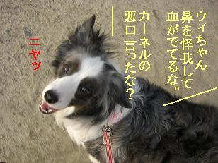 さては