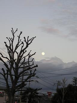 お月様