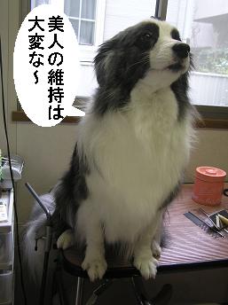 美しい