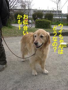 ウイちゃんは？