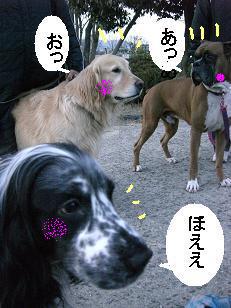 おおっ