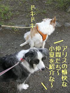 ドキドキ