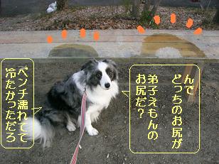 どっちの跡が弟子のお尻だ？？