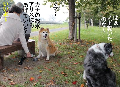 お水