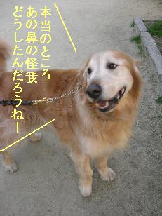 ジュン君は不思議