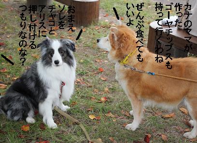 ゴーヤチップス
