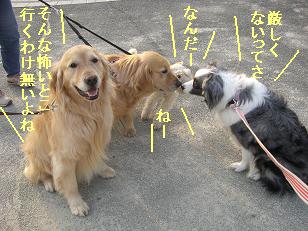 ぬるいやんか