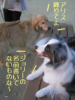 ベンチ