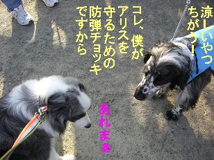 ありすとＪＡＺＺ