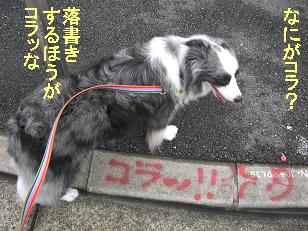 こらっ