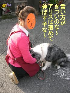 ダメな子な～