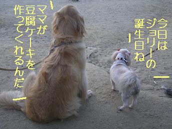 豆腐ケーキ