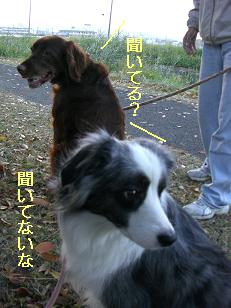 あれれ