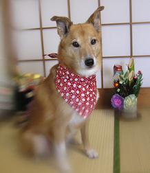 お正月美容は年末になるほど予約がいっぱいだよ