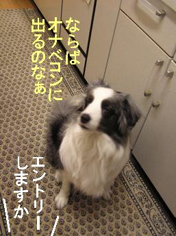 ナベコン