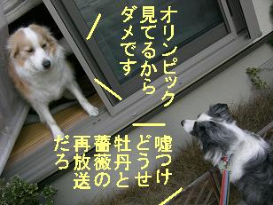 牡丹と薔薇