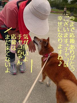 きが　はやい
