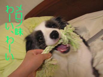 メロン味