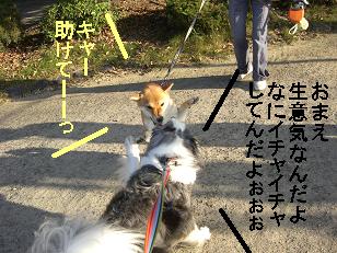 きーっ