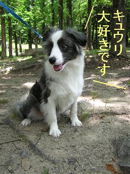わーい、わーい