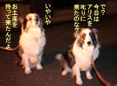 お土産