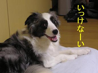 まったり