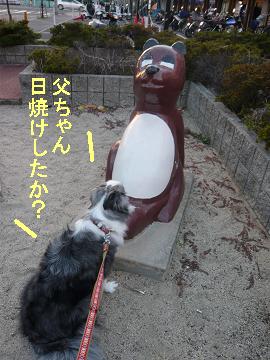 パパ