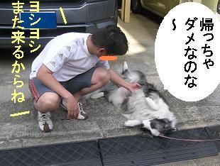 誘惑