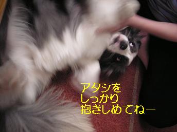 すりすりパワーフルスロットル