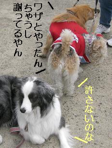 ゴメンって言うてるやん