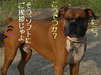 こうでつか？