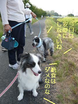 絶食反対