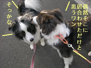 夢ちゃん