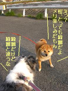 綺麗だけど綺麗じゃない