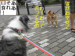 空みてるの