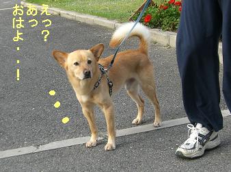 おは....！